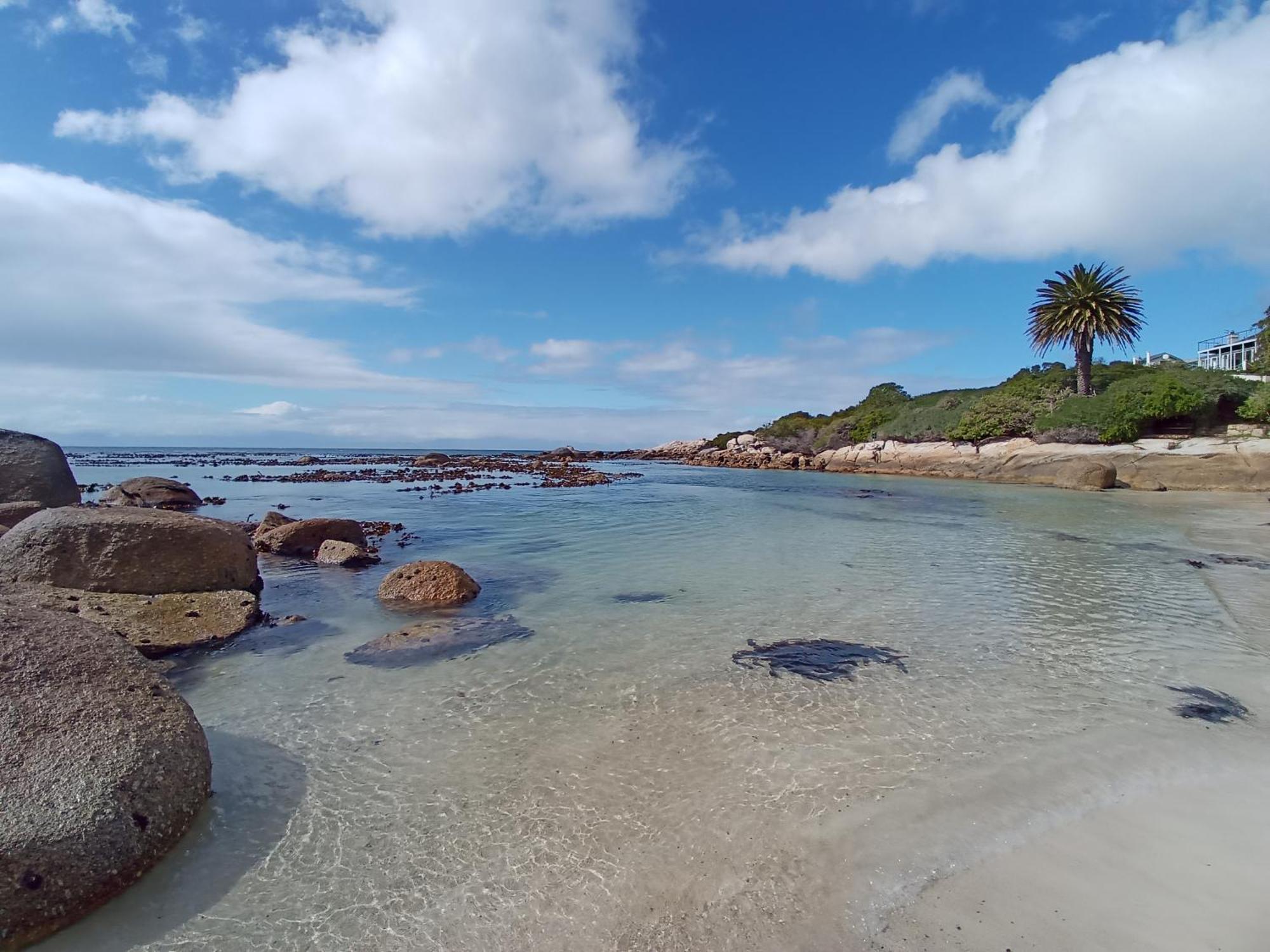 Bonne Esperance, Simon'S Town Apartment Ngoại thất bức ảnh
