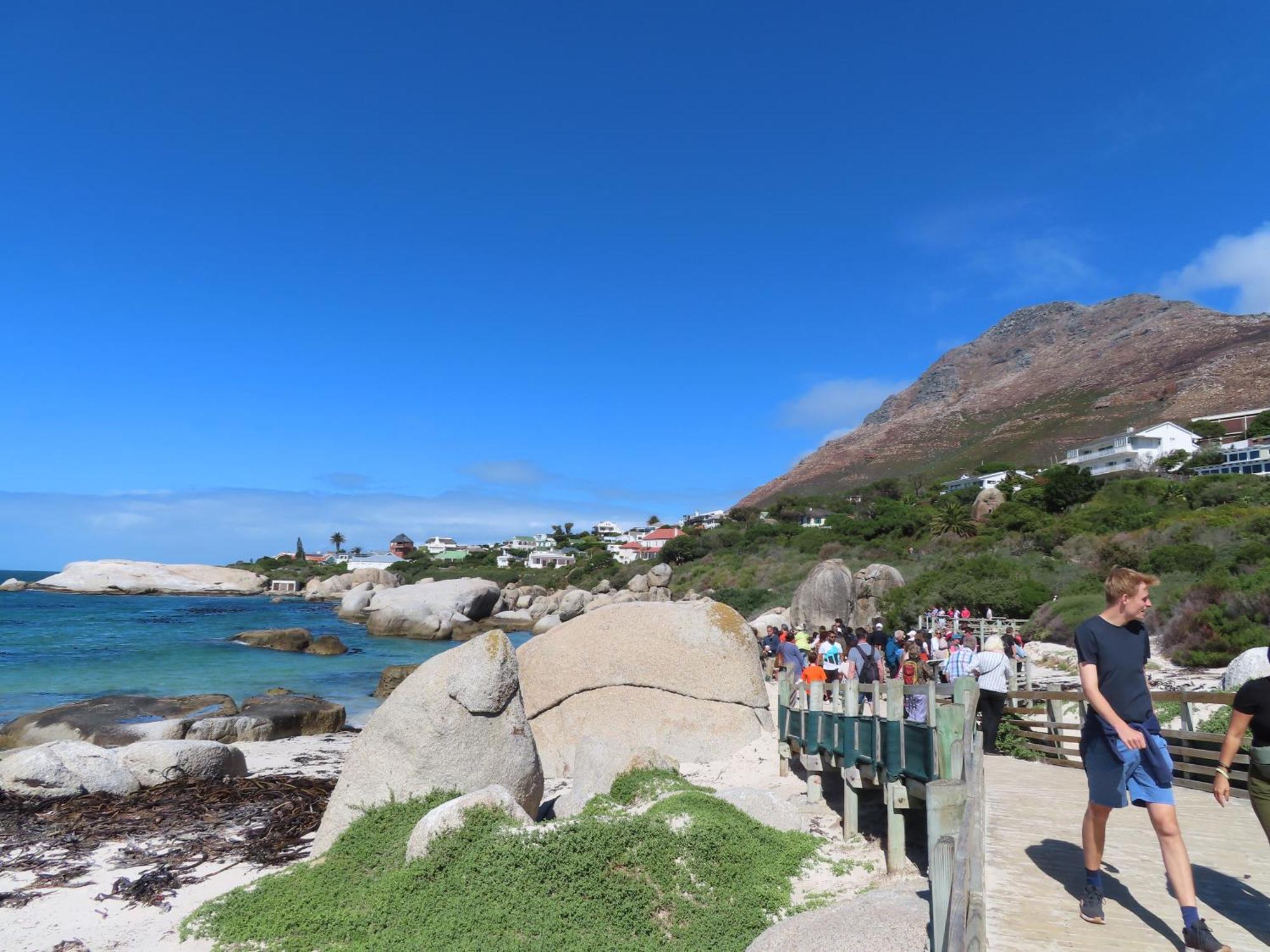 Bonne Esperance, Simon'S Town Apartment Ngoại thất bức ảnh
