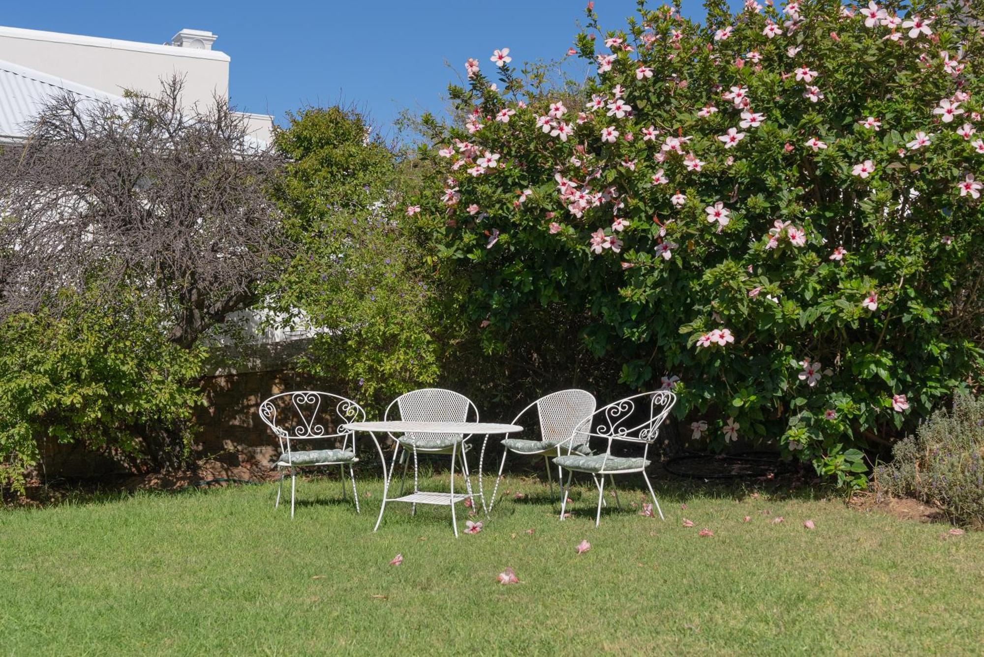 Bonne Esperance, Simon'S Town Apartment Ngoại thất bức ảnh